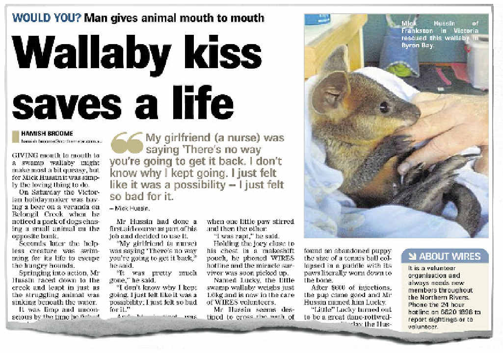 The Northern Star’s coverage of Lucky’s rescue. The Northern Star’s coverage of Lucky’s rescue.